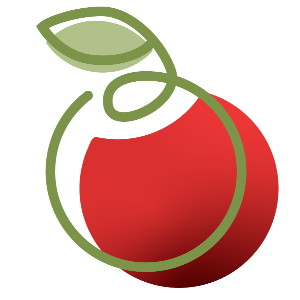 Online Kongress System